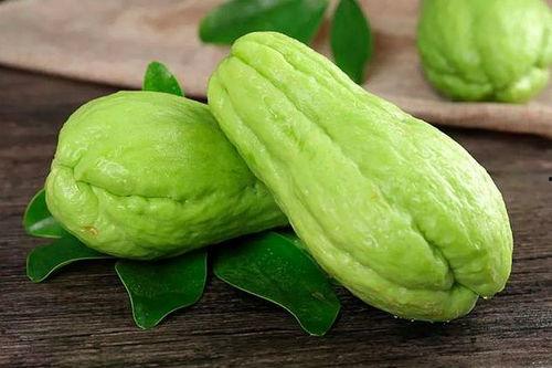 虎耳瓜可以吃吗,美味可口的天然食材探索