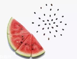 二瓜吃瓜不吐籽怎么回事,揭秘神奇现象背后的真相