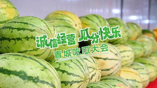 欢乐吃瓜,揭秘娱乐圈幕后故事