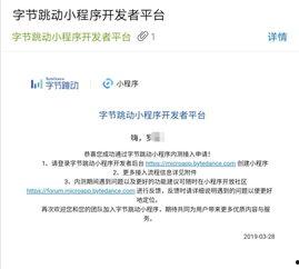 头条小程序成功案例,揭秘成功案例背后的创新与策略