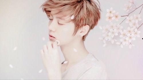 加油我爱鹿晗的头条,#加油我爱鹿晗#头条引发全网热议