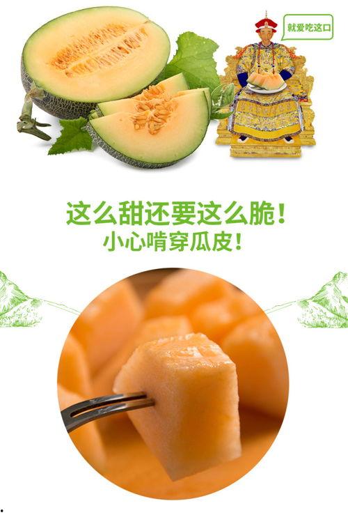 钢牙吃蜜瓜,甜蜜与坚韧的碰撞