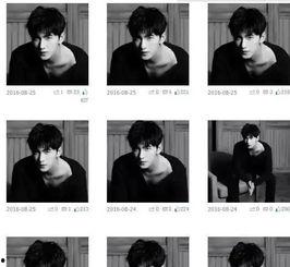 杨洋明星头像,光影交织下的魅力偶像