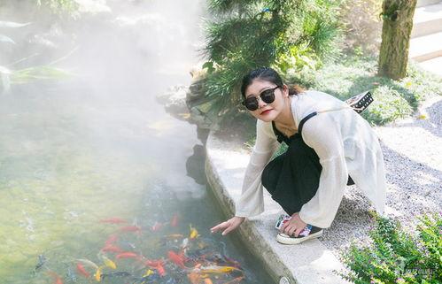 溪网红,揭秘网络红人的崛起之路