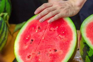 快乐学院吃瓜猛料,独家吃瓜猛料大公开！