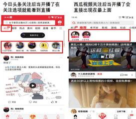 头条关注显示直播中,深度解析！