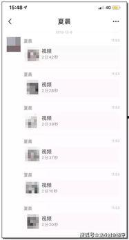 内蒙古网红分析视频,草原风情的网络魅力