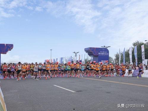 今日头条康平县城,探寻辽宁东北部的历史与现代交融之美