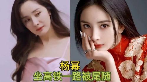 明星的极,揭秘明星背后的极致魅力