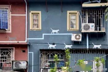 网红琯琯,网络红人的魅力与影响力解析