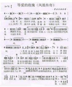 网红神曲等你归来歌词,穿越时光的浪漫呼唤