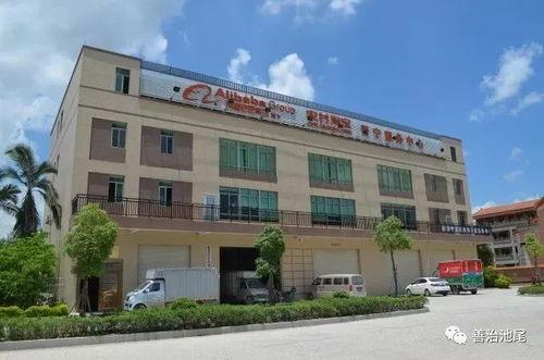 普宁网红服务公司,打造网络新势力