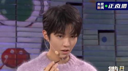 王俊凯算一线明星吗,当红一线明星的闪耀之路