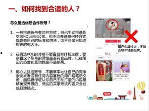 网红小红书达人兔兔,揭秘小红书达人背后的生活与魅力