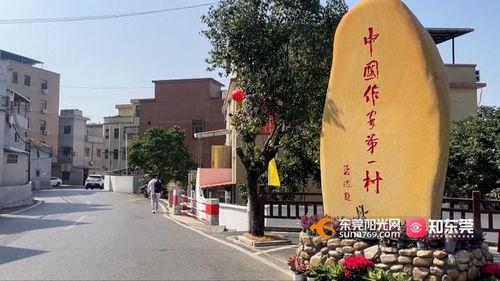 菏泽巨野田桥新闻头条,田桥重建工程启动，助力乡村振兴发展