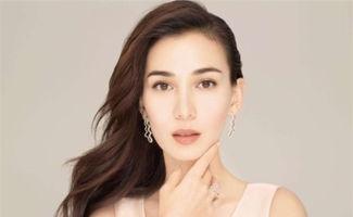 中原人的明星,璀璨星光下的中原传奇