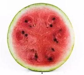 吃瓜拉瓜籽,探寻吃瓜拉瓜籽的趣味与智慧