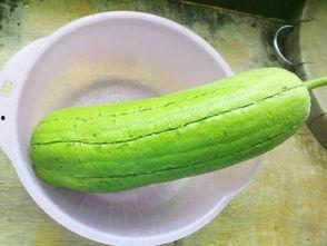 水瓜囊吃用,天然美味，健康养生的绿色食品