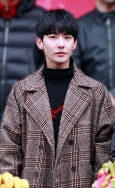 瑞昌的明星,揭秘明星背后的故事与成就