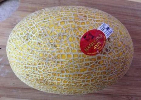 乐高和哈密瓜能一起吃吗,探索两者共食的可能性