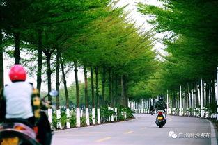 大岗镇南沙村女网红