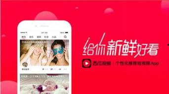 头条原创培训视频怎么拍,打造高质量内容的关键步骤解析