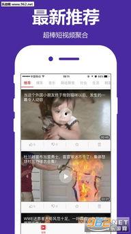 合山一哥爆料视频播放下载,独家下载解析