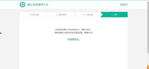 头条自媒体的种类有,不同类型解析与内容创作策略