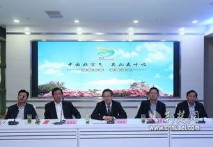 安康英山县新闻头条,聚焦发展新篇章，共绘乡村振兴美好蓝图