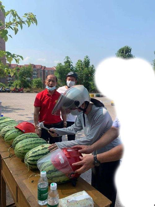 砀山最新吃瓜事件新闻,揭秘网络热议背后的真相